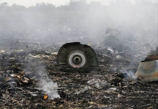 马航MH17被击落现场照片