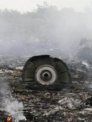 马航客机在乌克兰被击落 295人全遇难